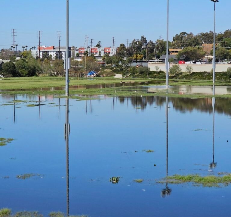 Soccer Field image 3