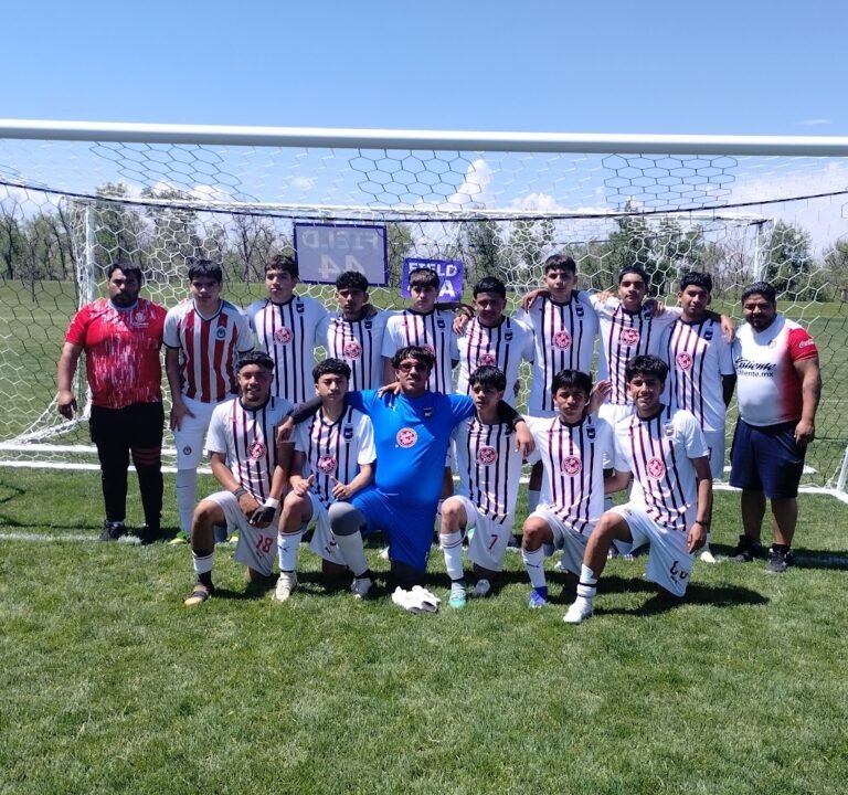 Soccer Field image 3