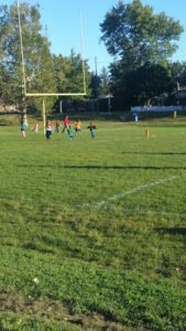Soccer Field image 1