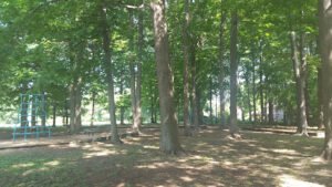 Soccer Field image 1
