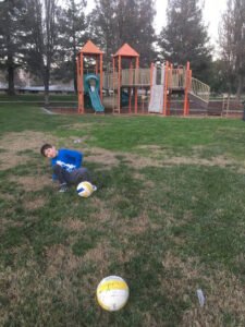 Soccer Field image 1