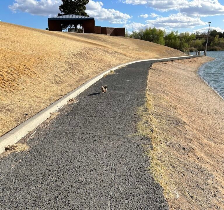 Soccer Field image 3