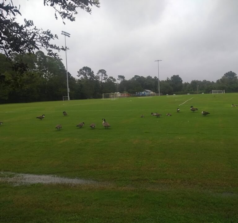 Soccer Field image 2