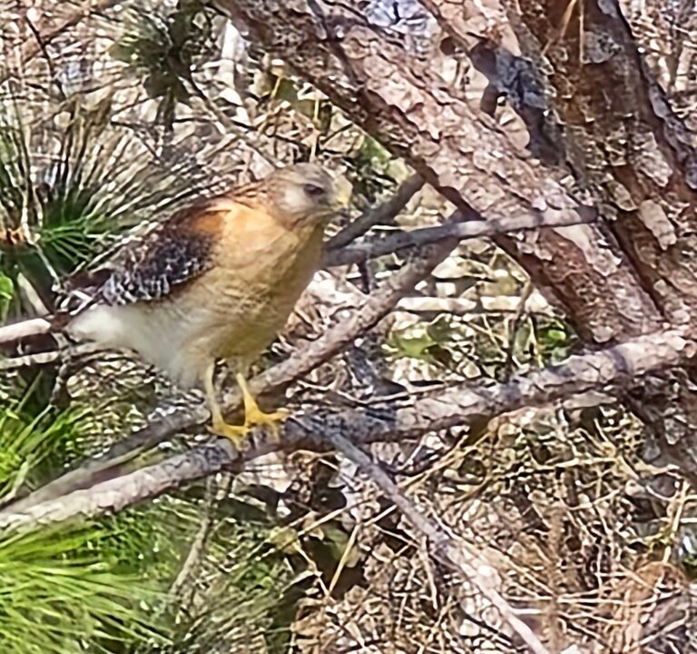 Soccer Field image 3