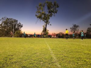 Soccer Field image 1