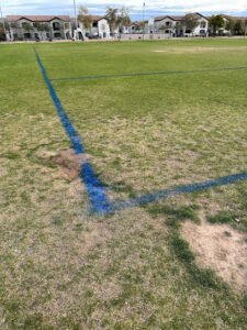 Soccer Field image 1