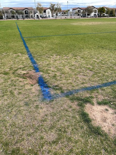 Soccer Field image 1