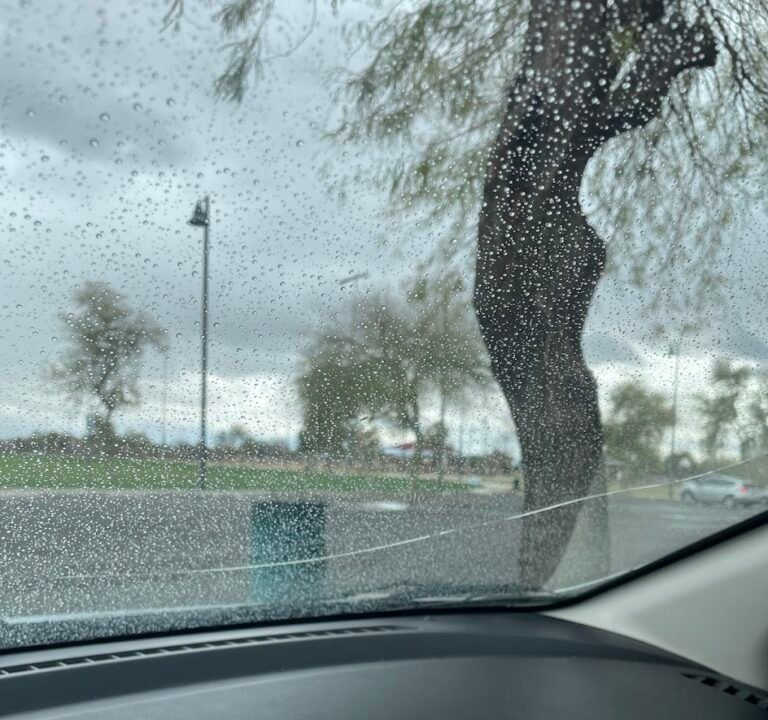 Soccer Field image 3