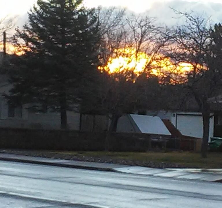 Soccer Field image 3