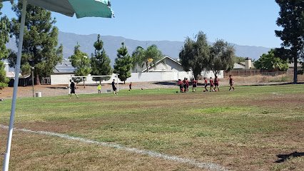 Soccer Field image 1