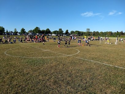 Soccer Field image 1