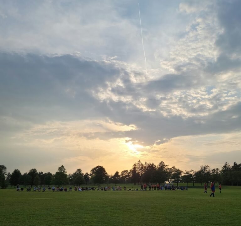 Soccer Field image 2