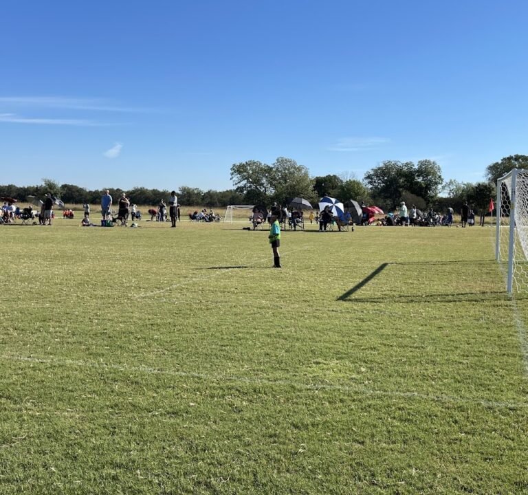 Soccer Field image 2