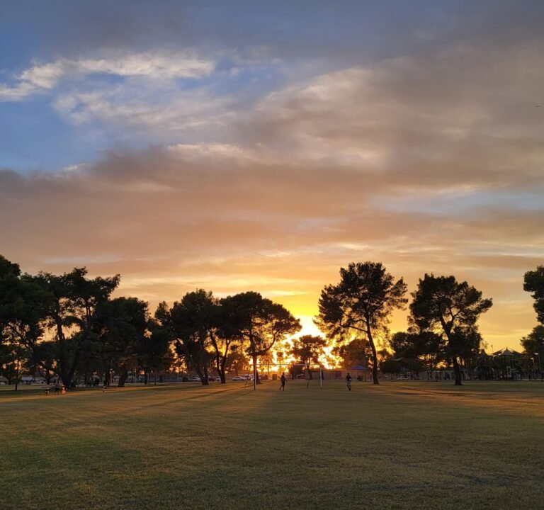 Soccer Field image 2