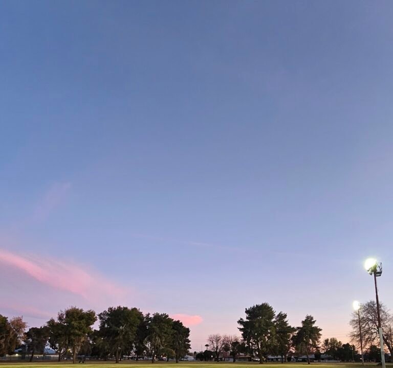 Soccer Field image 3