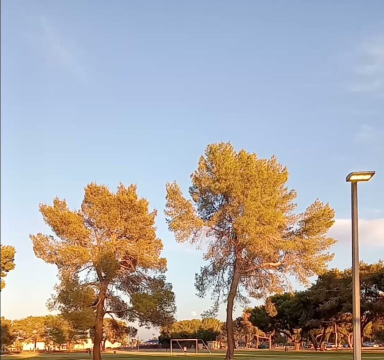 Soccer Field image 4