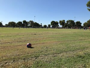 Soccer Field image 1