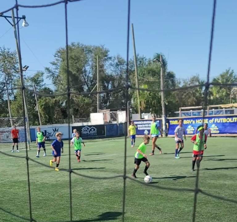 Soccer Field image 4