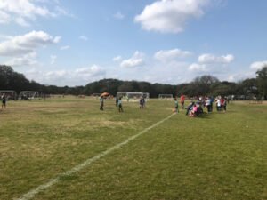 Soccer Field image 1