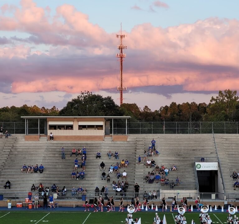 Soccer Field image 2