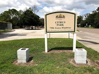 Soccer Field image 1