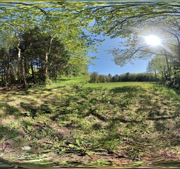 Soccer Field image 3