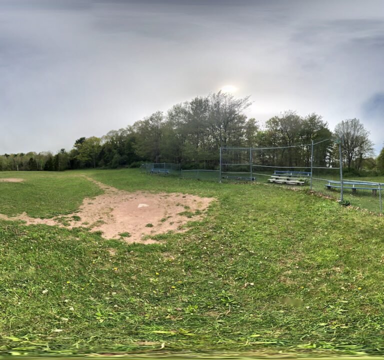 Soccer Field image 2