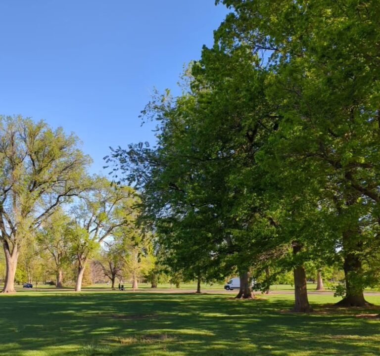 Soccer Field image 2