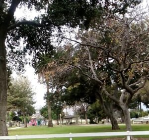 Soccer Field image 4