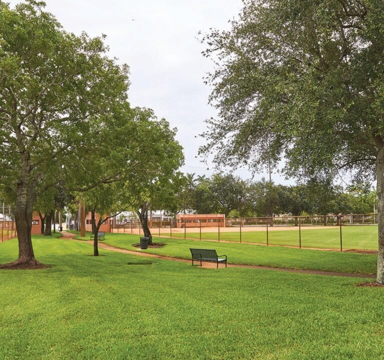 Soccer Field image 2