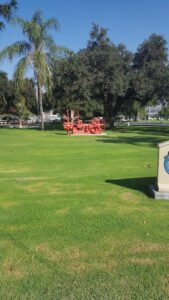 Soccer Field image 1