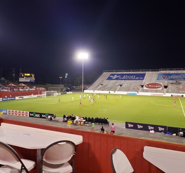 Soccer Field image 2