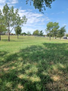Soccer Field image 1