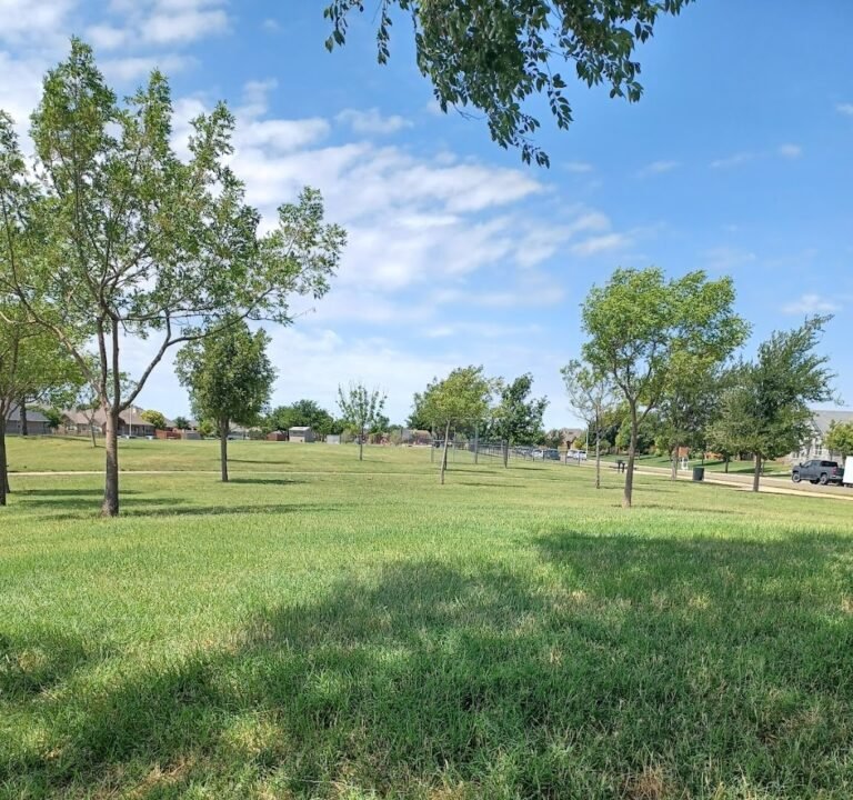 Soccer Field image 2