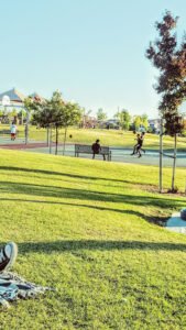 Soccer Field image 1