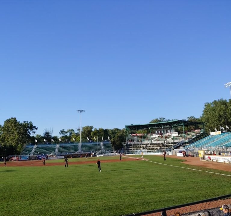 Soccer Field image 2