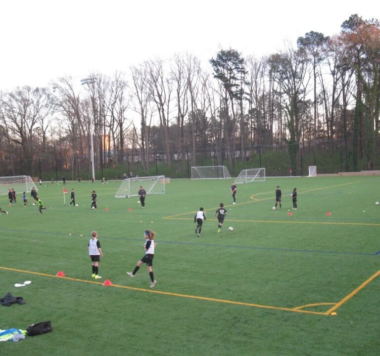 Soccer Field image 2