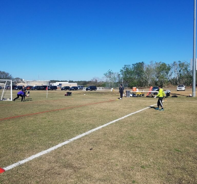 Soccer Field image 2