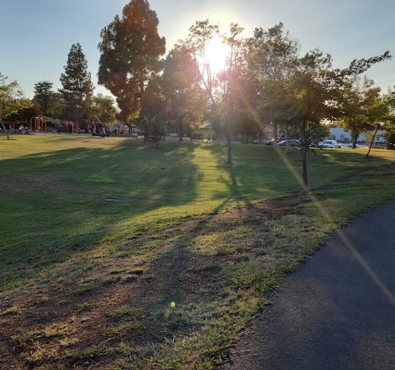 Soccer Field image 3