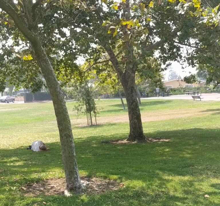 Soccer Field image 4