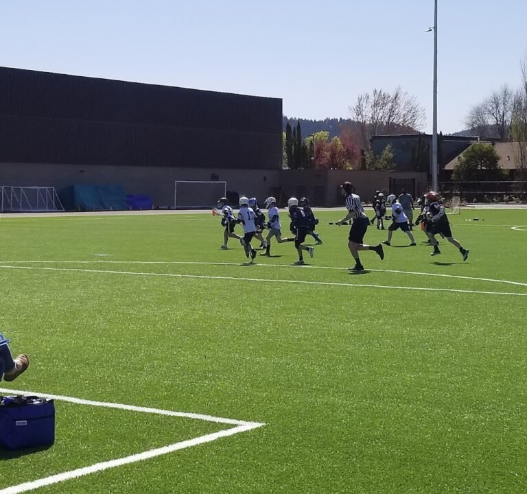 Soccer Field image 4