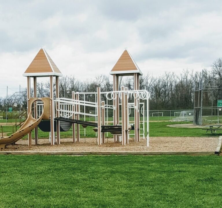 Soccer Field image 2