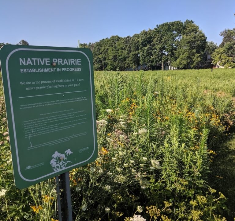 Soccer Field image 3