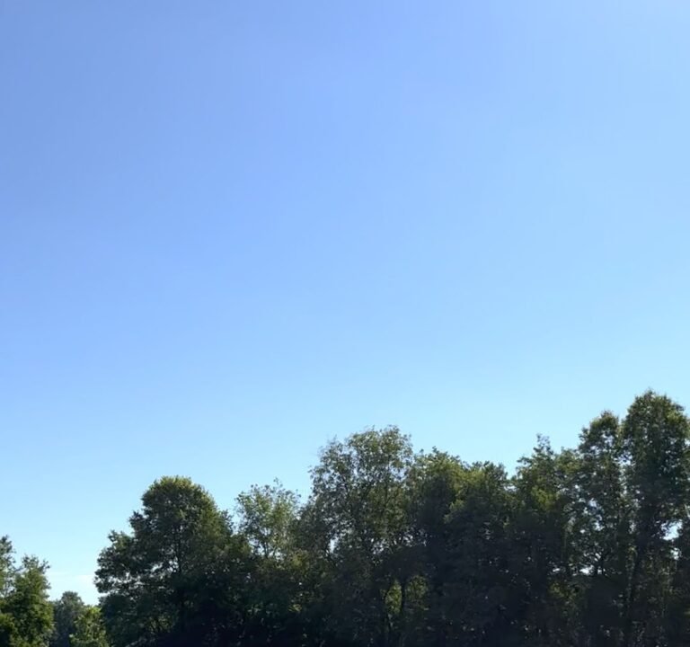 Soccer Field image 4