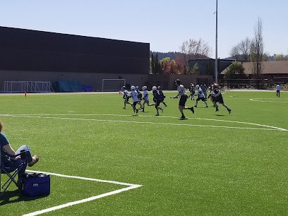 Soccer Field image 1
