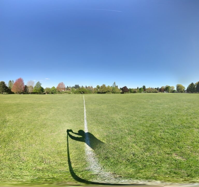 Soccer Field image 3
