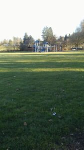Soccer Field image 1
