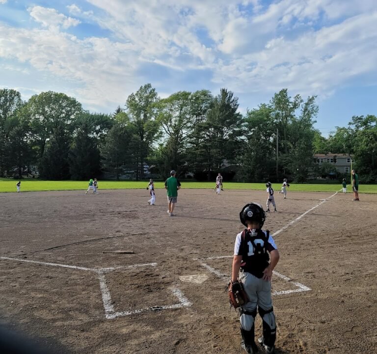 Soccer Field image 2