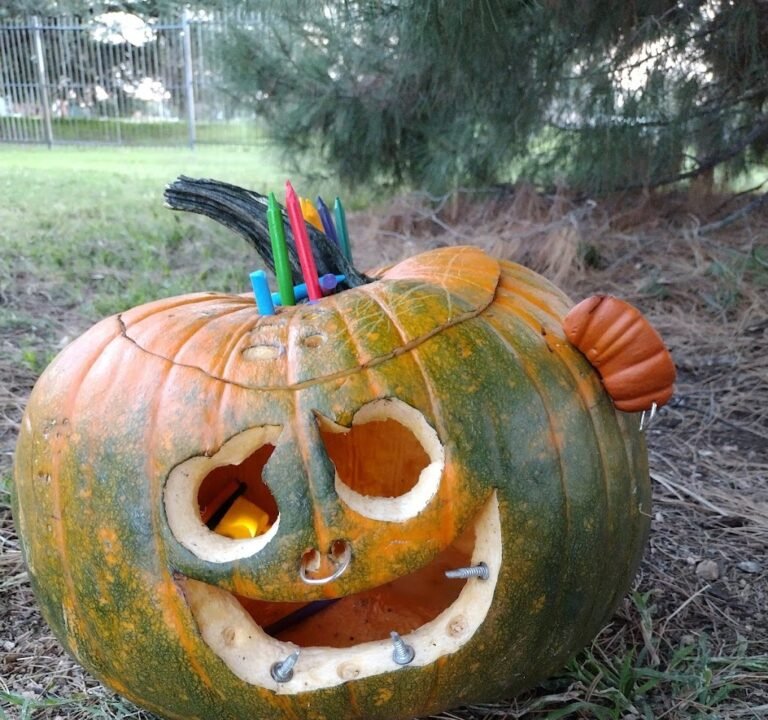 Soccer Field image 2