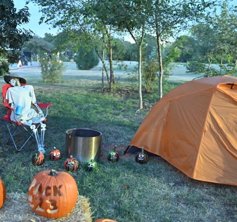 Soccer Field image 3